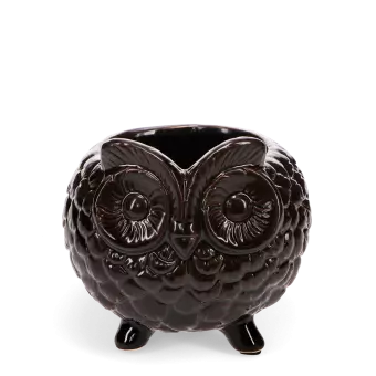 Owl planter