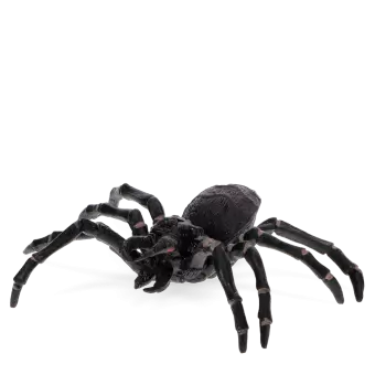 Realistic tarantula toy