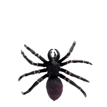 Realistic tarantula toy