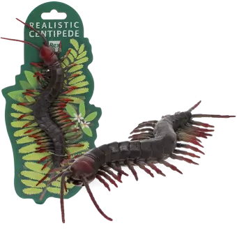Realistic centipede toy