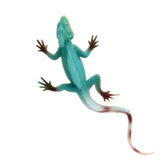 Realistic double crown lizard toy
