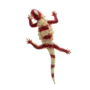Realistic horned lizard toy