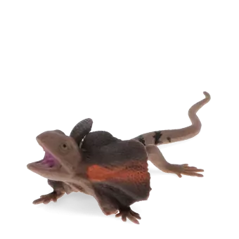 Realistic frill-necked lizard toy