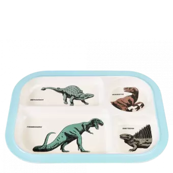 Prehistoric Land Melamine Food Tray