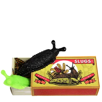 Box of two slimy slugs