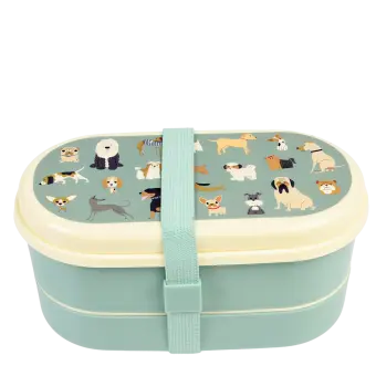 Children's bento box - Best in Show