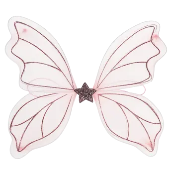 Fairy wings - Fairies in the Garden
