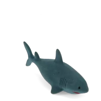 shark eraser