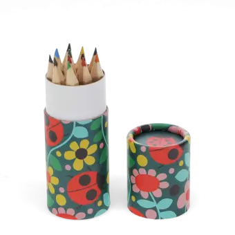 Tube of colouring pencils - Ladybird