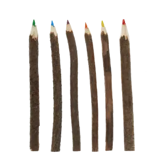Twig coloured pencils (set of 6)