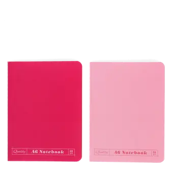 A6 notebooks (set of 2) - Pinks