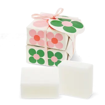 Nourishing hand soaps 75g (set of 2) - Daisy