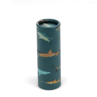 Tube of colouring pencils - Sharks