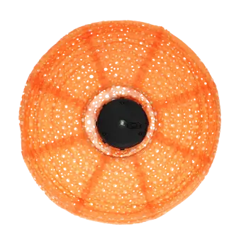 Outdoor solar UFO lantern - Orange