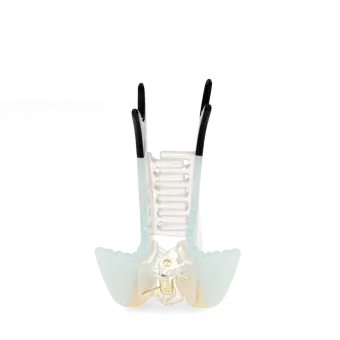 Hair claw clip - Parakeet