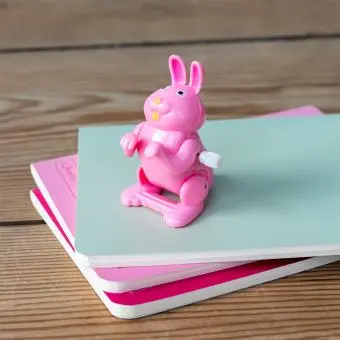 Wind-up jumping animal toy - Bunny