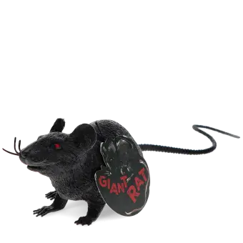 A black realistic rat with tag