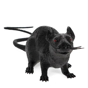 A black realistic rat with red eyes and a long tail