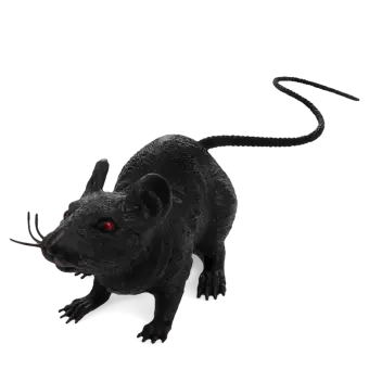 A black realistic rat with red eyes and a long tail