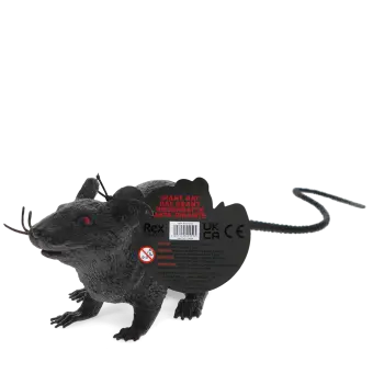 A black realistic rat with tag