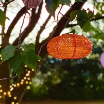 An orange paper lantern hangs in a tree at dusk