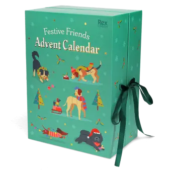 Fill your own advent calendar - Festive Friends
