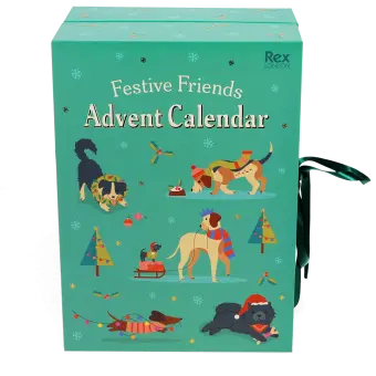 Festive Friends Advent Calendar box featuring illustrations of dogs