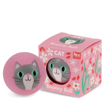 Pink bouncy ball with a cat face design next to its matching box 