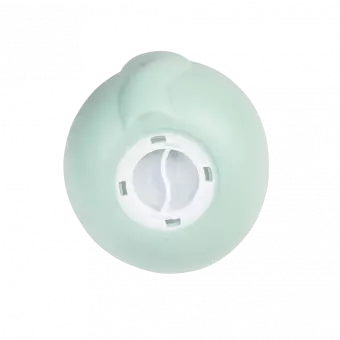 Cookie The Cat Money Box