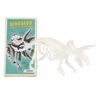 Assorted Dinosaur Skeleton Kit