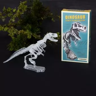 Assorted Dinosaur Skeleton Kit