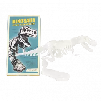 Assorted Dinosaur Skeleton Kit