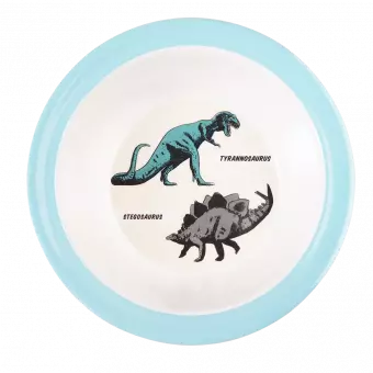 Prehistoric Land Melamine Bowl