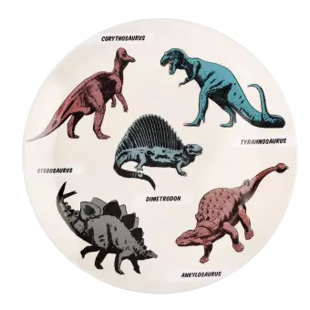 Prehistoric Land Melamine Plate