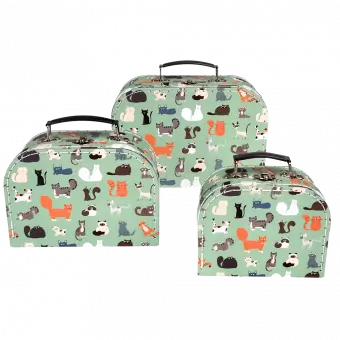 Nine Lives Cases (set Of 3)