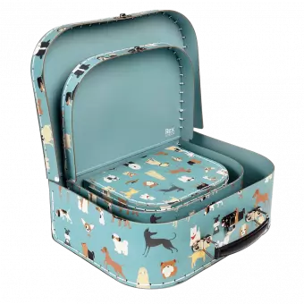 Best In Show Cases (set Of 3)