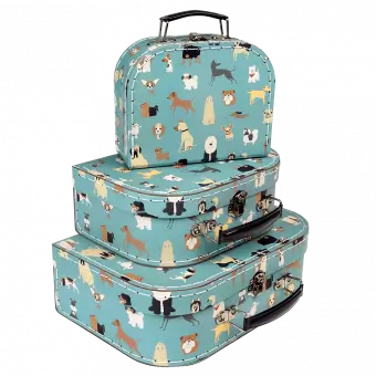 Best In Show Cases (set Of 3)