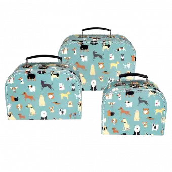 Best In Show Cases (set Of 3)