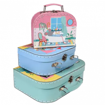 Mouse In A House Cases (set Of 3)