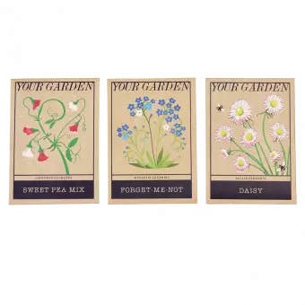 Assorted Your Garden Flower Seeds