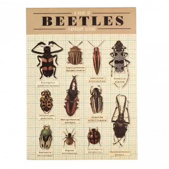Beetles Temporary Tattoos (2 Sheets)