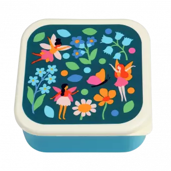 Fairies In The Garden snack box large