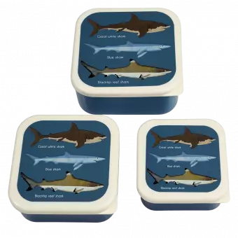 Three plastic snack boxes large medium small featuring images of sharks