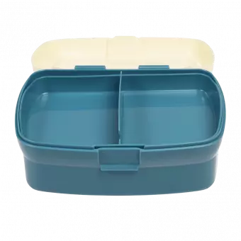 Fairies In The Garden lunch box with lid open and tray inserted