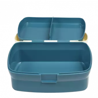 Fairies In The Garden lunch box with lid open and tray removed