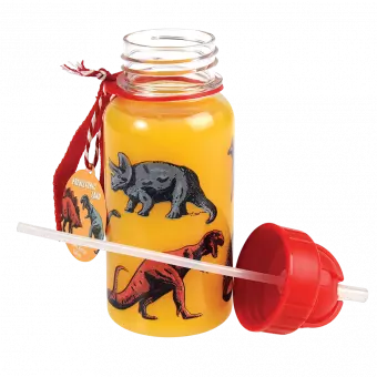Prehistoric Land Water Bottle