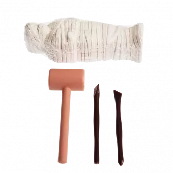 Egyptian Mummy Excavation Kit