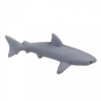 Grow Your Own Shark