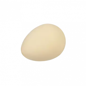 Hatch Your Own Dinosaur Egg