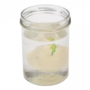 Hatch Your Own Dinosaur Egg